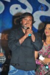 Brindavanam Movie Audio Launch Photos  - 39 of 175