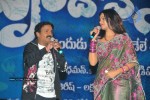 Brindavanam Movie Audio Launch Photos  - 52 of 175