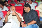 Brindavanam Movie Audio Launch Photos  - 53 of 175