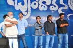Brindavanam Movie Audio Launch Photos  - 100 of 175