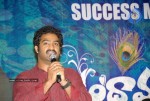 Brindavanam Movie Success Meet - 79 of 90