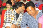 Brindavanam Movie Triple Platinum Disc Function - 99 of 164