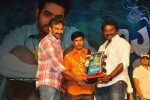 Brindavanam Movie Triple Platinum Disc Function - 19 of 164