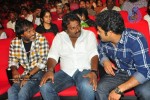 Brindavanam Movie Triple Platinum Disc Function - 25 of 164