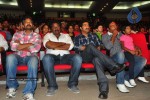 Brindavanam Movie Triple Platinum Disc Function - 46 of 164