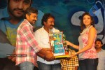 Brindavanam Movie Triple Platinum Disc Function - 51 of 164