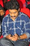 Brindavanam Movie Triple Platinum Disc Function - 93 of 164