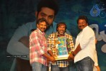 Brindavanam Movie Triple Platinum Disc Function - 105 of 164