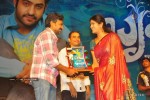 Brindavanam Movie Triple Platinum Disc Function - 144 of 164