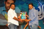 Brindavanam Movie Triple Platinum Disc Function - 146 of 164