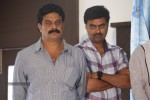 Brother of Bommali Movie 1st Look Launch - 30 of 62
