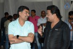Brother of Bommali Movie Audio Launch 01 - 6 of 167