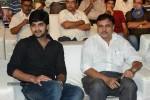 Brother of Bommali Movie Audio Launch 01 - 9 of 167