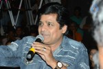 Brother of Bommali Movie Audio Launch 01 - 22 of 167