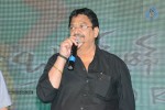 Brother of Bommali Movie Audio Launch 01 - 24 of 167