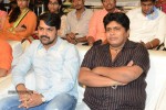 Brother of Bommali Movie Audio Launch 01 - 25 of 167