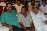 Brother of Bommali Movie Audio Launch 01 - 32 of 167