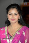 Brother of Bommali Movie Audio Launch 01 - 34 of 167