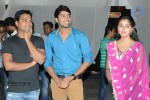 Brother of Bommali Movie Audio Launch 01 - 36 of 167