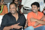 Brother of Bommali Movie Audio Launch 01 - 37 of 167