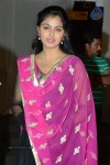 Brother of Bommali Movie Audio Launch 01 - 39 of 167