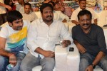 Brother of Bommali Movie Audio Launch 01 - 45 of 167