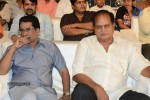 Brother of Bommali Movie Audio Launch 01 - 46 of 167