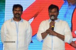 Brother of Bommali Movie Audio Launch 01 - 47 of 167