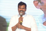 Brother of Bommali Movie Audio Launch 01 - 48 of 167