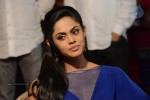 Brother of Bommali Movie Audio Launch 01 - 54 of 167