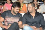 Brother of Bommali Movie Audio Launch 01 - 86 of 167