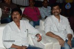 Brother of Bommali Movie Audio Launch 01 - 89 of 167