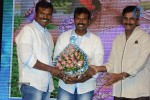 Brother of Bommali Movie Audio Launch 01 - 92 of 167
