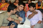 Brother of Bommali Movie Audio Launch 01 - 104 of 167