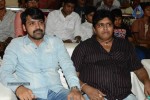 Brother of Bommali Movie Audio Launch 01 - 124 of 167