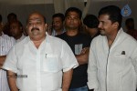 Brother of Bommali Movie Audio Launch 01 - 141 of 167