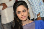 Brother of Bommali Movie Audio Launch 01 - 143 of 167