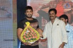 Brother of Bommali Movie Audio Launch 01 - 151 of 167