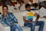 Brother of Bommali Movie Audio Launch 01 - 153 of 167