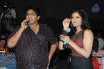 Brother of Bommali Movie Audio Launch 02 - 5 of 304