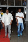 Brother of Bommali Movie Audio Launch 02 - 7 of 304