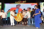 Brother of Bommali Movie Audio Launch 02 - 9 of 304