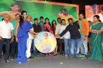 Brother of Bommali Movie Audio Launch 02 - 29 of 304