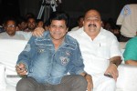 Brother of Bommali Movie Audio Launch 02 - 30 of 304