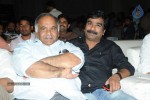 Brother of Bommali Movie Audio Launch 02 - 35 of 304