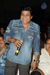 Brother of Bommali Movie Audio Launch 02 - 37 of 304