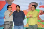 Brother of Bommali Movie Audio Launch 02 - 38 of 304