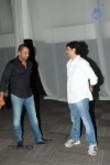Brother of Bommali Movie Audio Launch 02 - 39 of 304