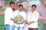 Brother of Bommali Movie Audio Launch 02 - 43 of 304