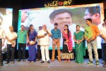 Brother of Bommali Movie Audio Launch 02 - 47 of 304